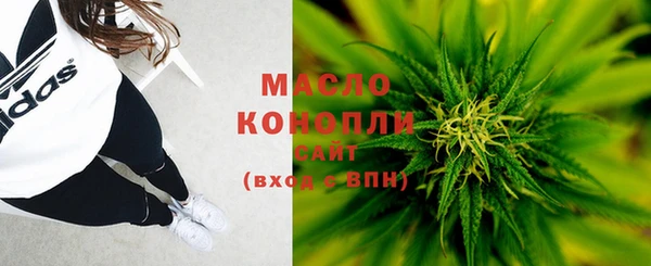 стаф Коряжма