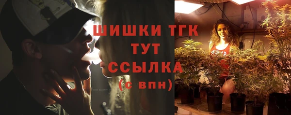 стаф Коряжма