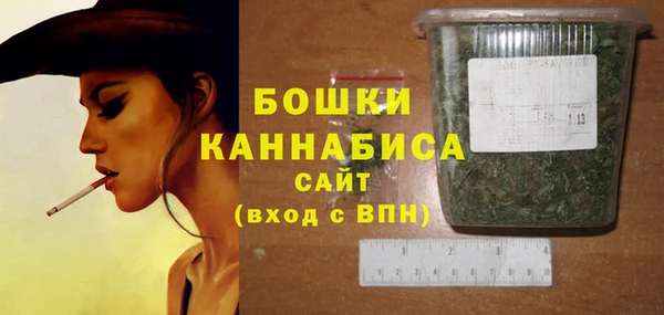 стаф Коряжма