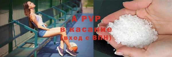 стаф Коряжма