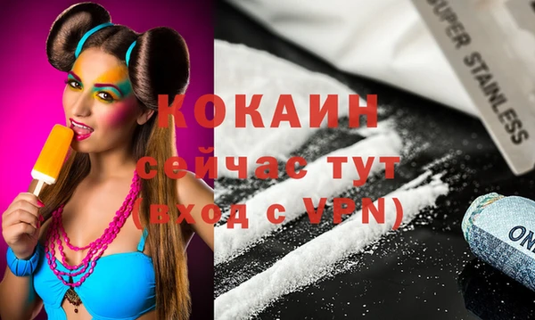 стаф Коряжма