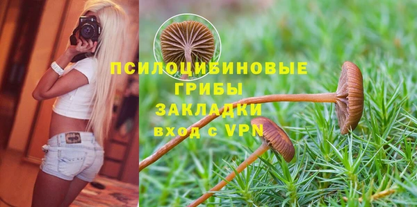 бутират Корсаков