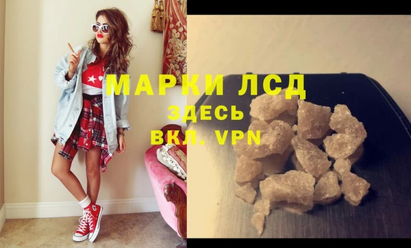 стаф Коряжма